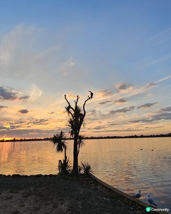 Melbourne Ballarat睇到最難忘的日落。