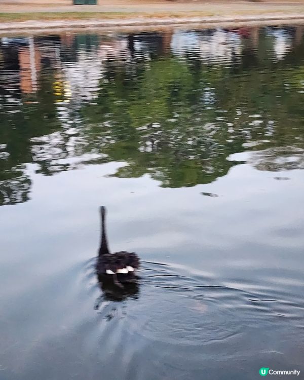 Melbourne Ballarat睇到最難忘的日落。