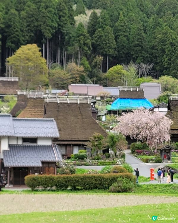 日本美山🌸寧靜之旅，忘卻煩囂😌