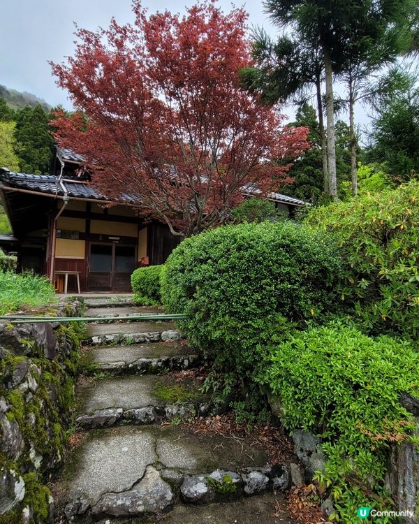 日本美山🌸寧靜之旅，忘卻煩囂😌