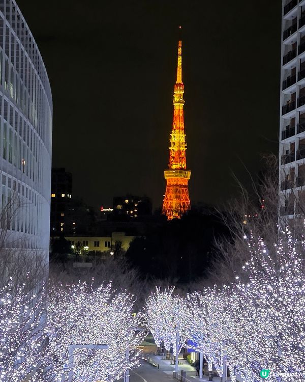 燈飾延長！農曆年東京賞夢幻藍燈海🌌🇯🇵✨