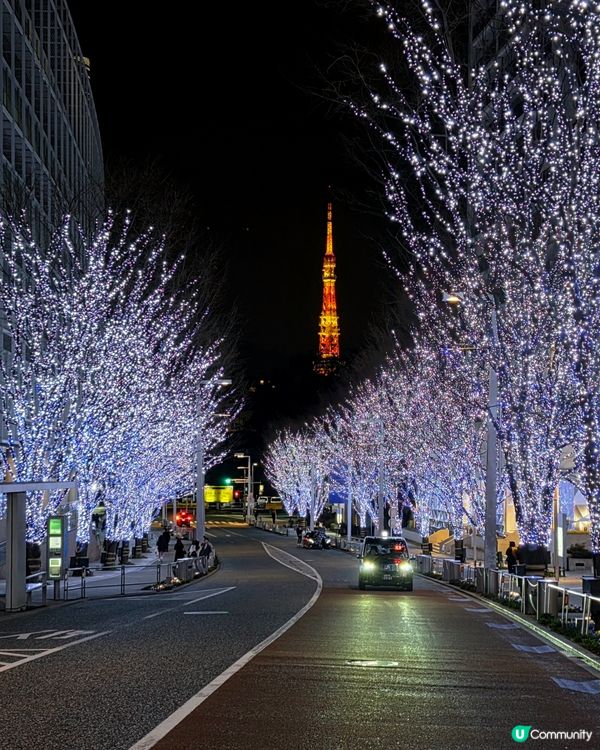 燈飾延長！農曆年東京賞夢幻藍燈海🌌🇯🇵✨