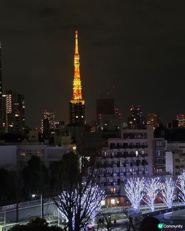 燈飾延長！農曆年東京賞夢幻藍燈海🌌🇯🇵✨