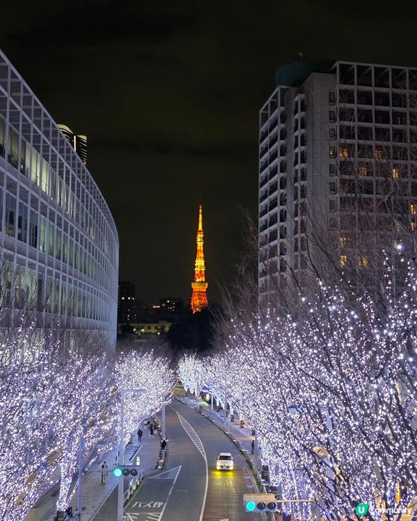 燈飾延長！農曆年東京賞夢幻藍燈海🌌🇯🇵✨