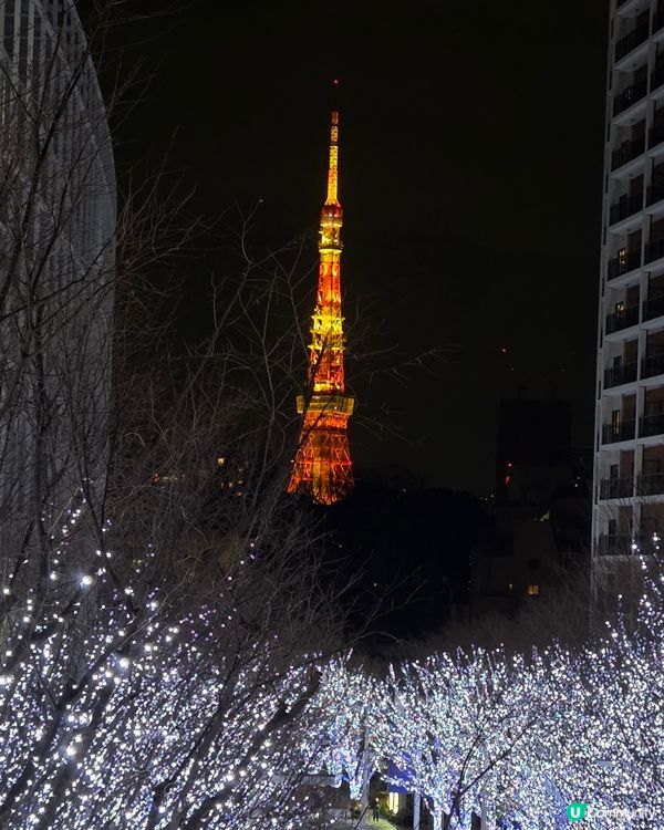 燈飾延長！農曆年東京賞夢幻藍燈海🌌🇯🇵✨