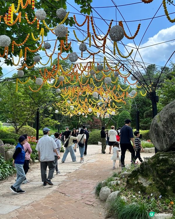 💕🏜️景色怡人南怡島🏜️💕