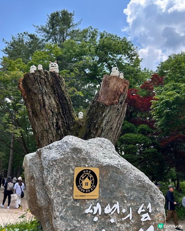 💕🏜️景色怡人南怡島🏜️💕