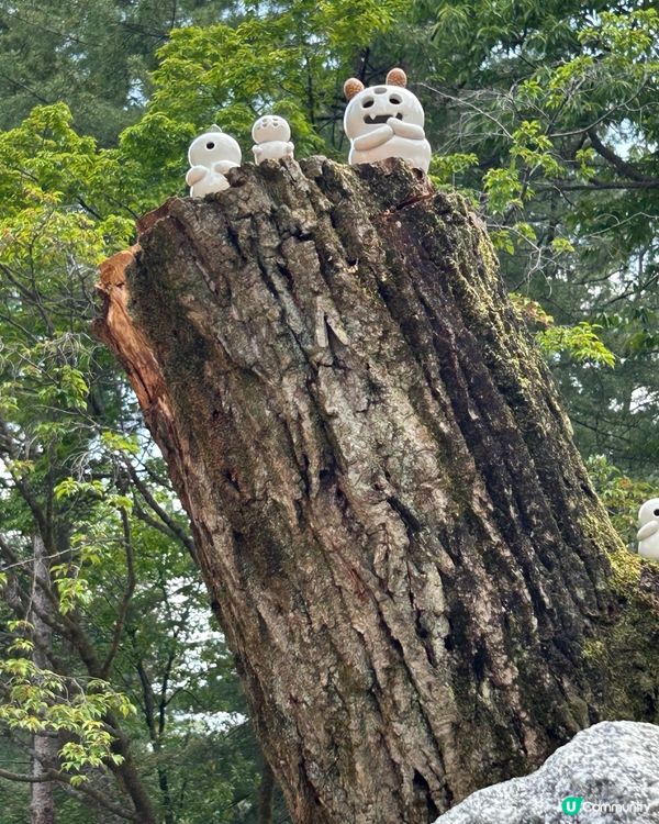 💕🏜️景色怡人南怡島🏜️💕