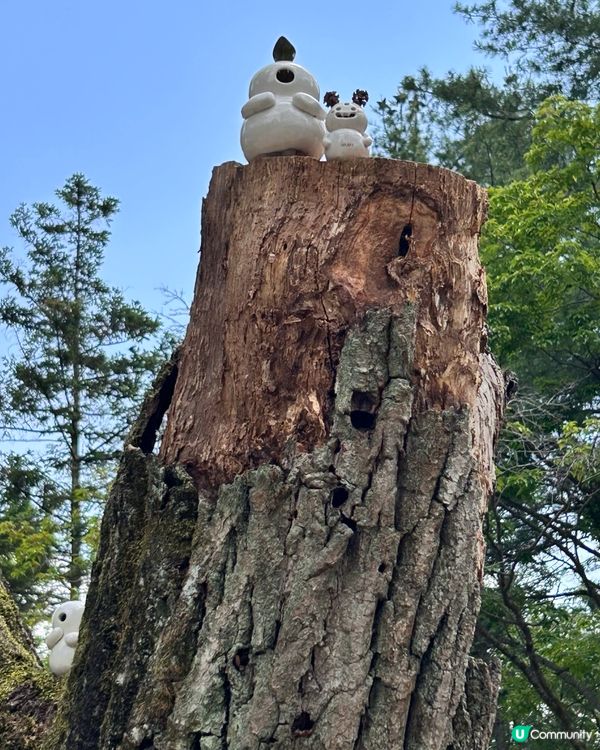 💕🏜️景色怡人南怡島🏜️💕