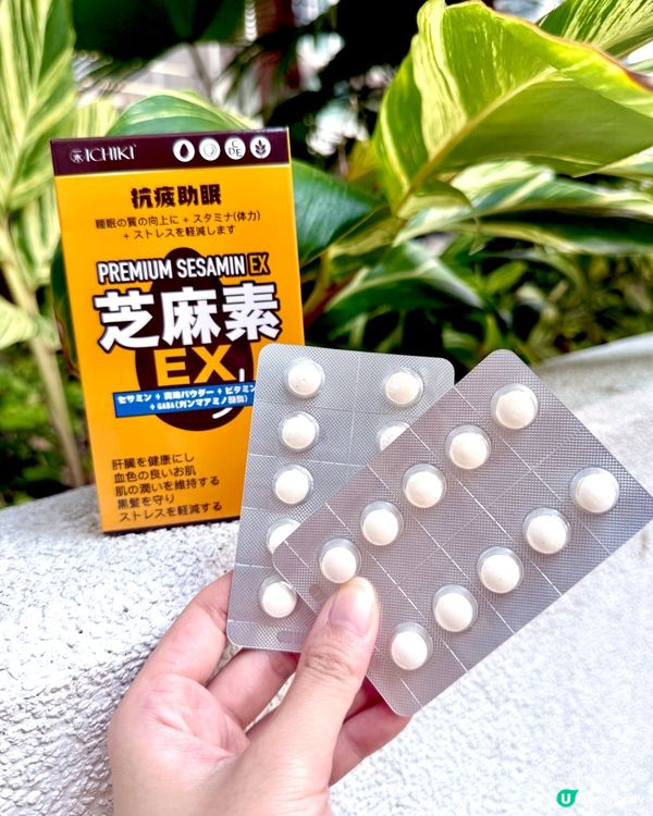 長期捱夜？訓唔著？😵‍💫 ⚡️芝麻素即時救返你！