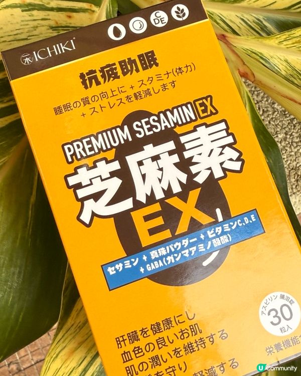 長期捱夜？訓唔著？😵‍💫 ⚡️芝麻素即時救返你！