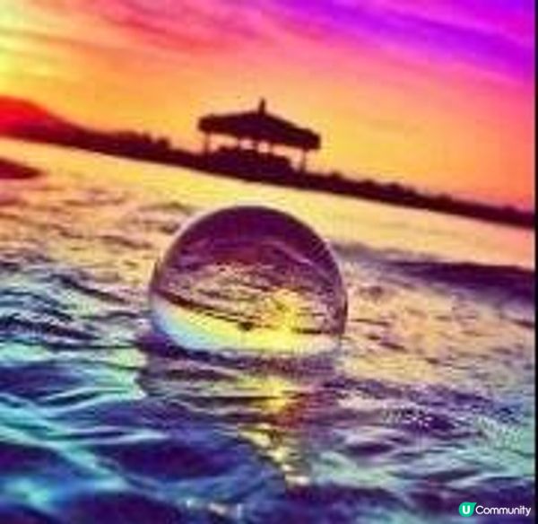 “大包王朝”林哲为了骗钱放弃底线