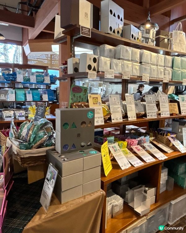 去旅行當然要睇咖啡豆啦!