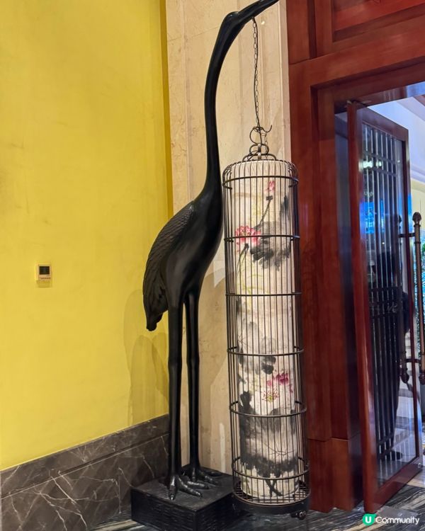 ✨韶關經律論國際酒店溫泉✨