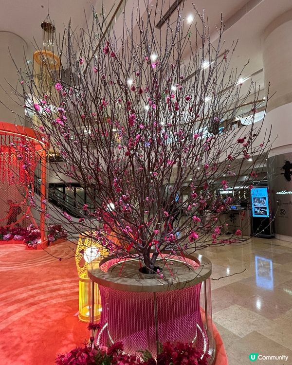 太古廣場新年佈置