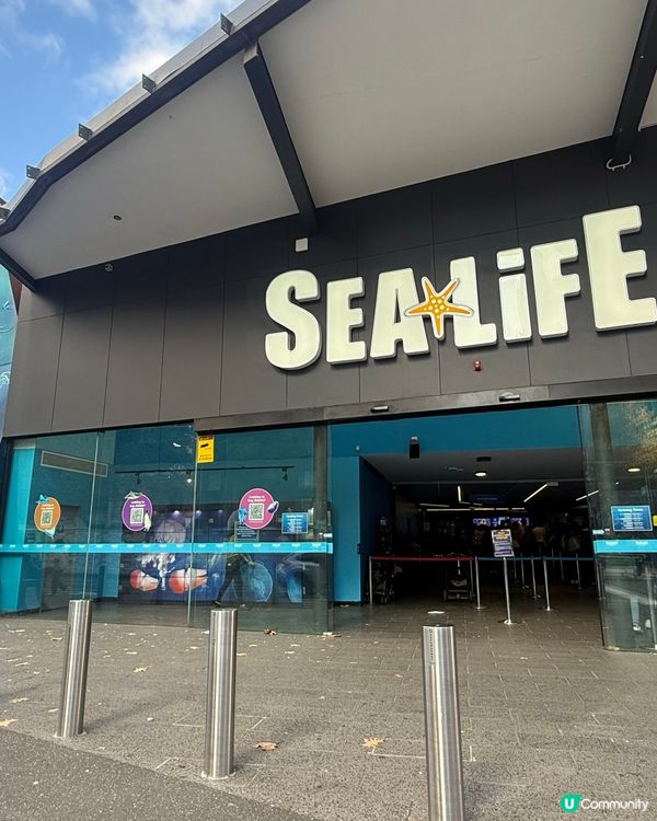 澳洲墨爾本 SeaLife Aquarium 