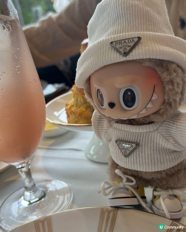 瑞吉偷閒🍵☕️ | 遺忘時光感的寧靜✨