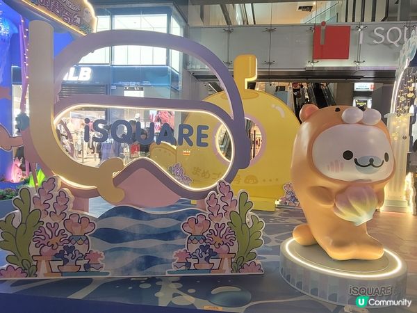 小海豹Mamegoma 