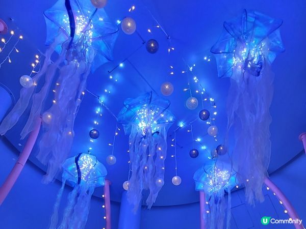 小海豹Mamegoma 