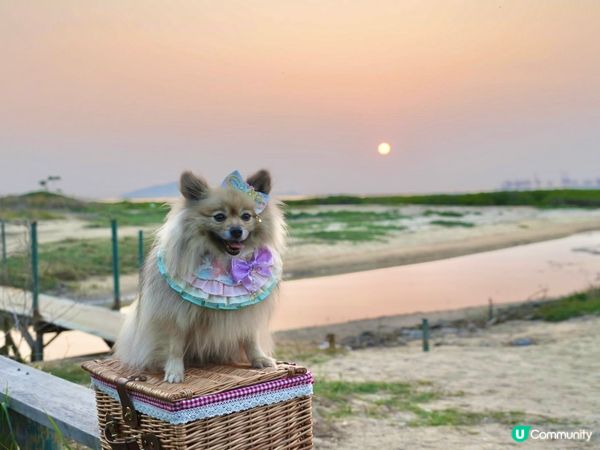 下白泥看日落🌄