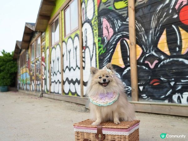 下白泥看日落🌄