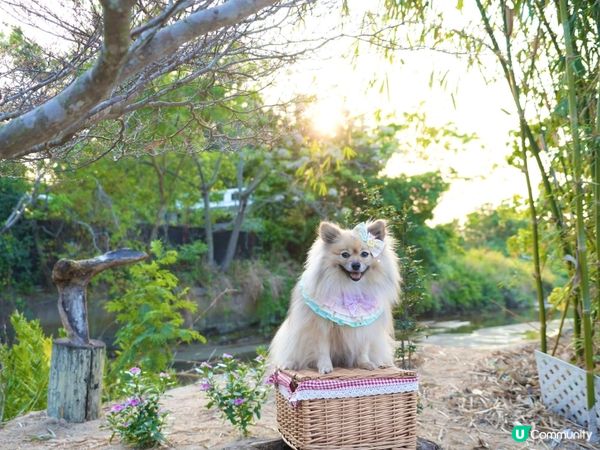 下白泥看日落🌄