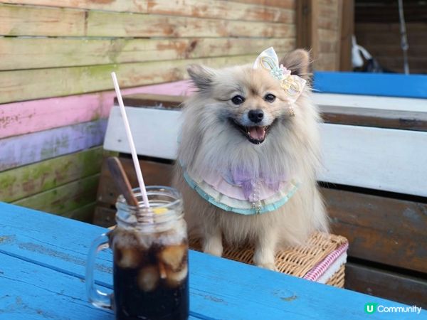 下白泥看日落🌄