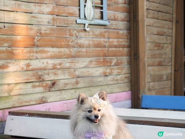 下白泥看日落🌄