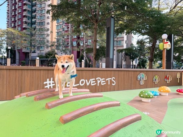 元朗全新打卡點 | YOHO MALL全新寵物公園🌳