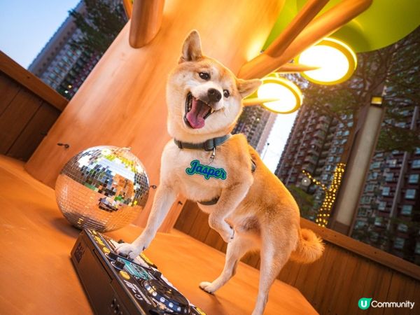 元朗全新打卡點 | YOHO MALL全新寵物公園🌳