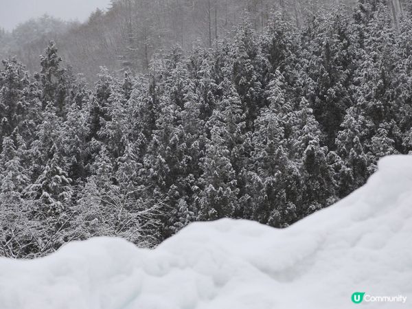 日本飛驒高山 ❄️ 如果你都鍾意我嘅分享如果都鍾意我嘅分享請...