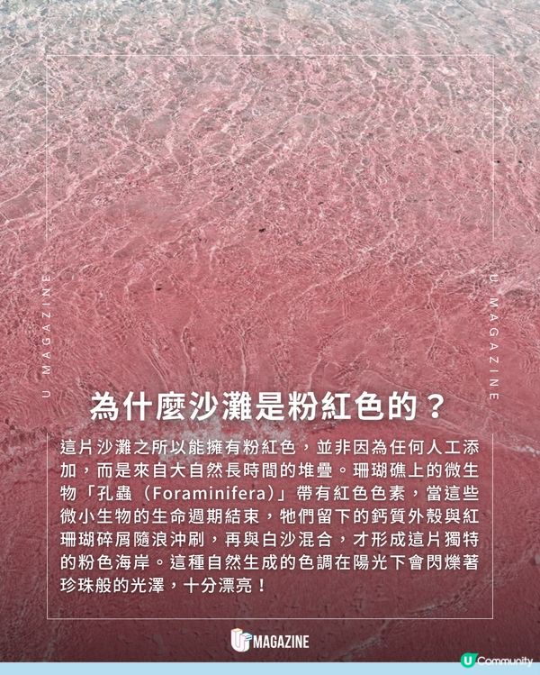 峇里島最美「粉紅沙灘」                                                    