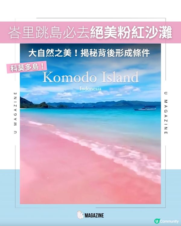 峇里島最美「粉紅沙灘」                                                    