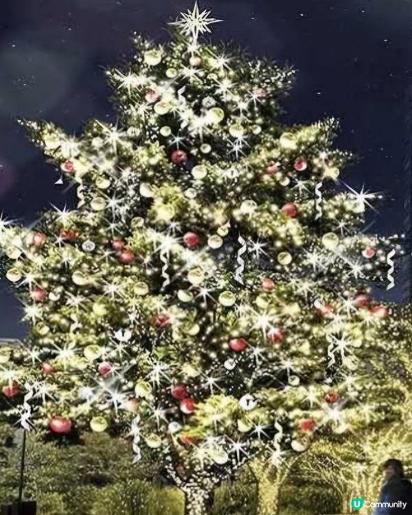 六本木🤩超美聖誕節