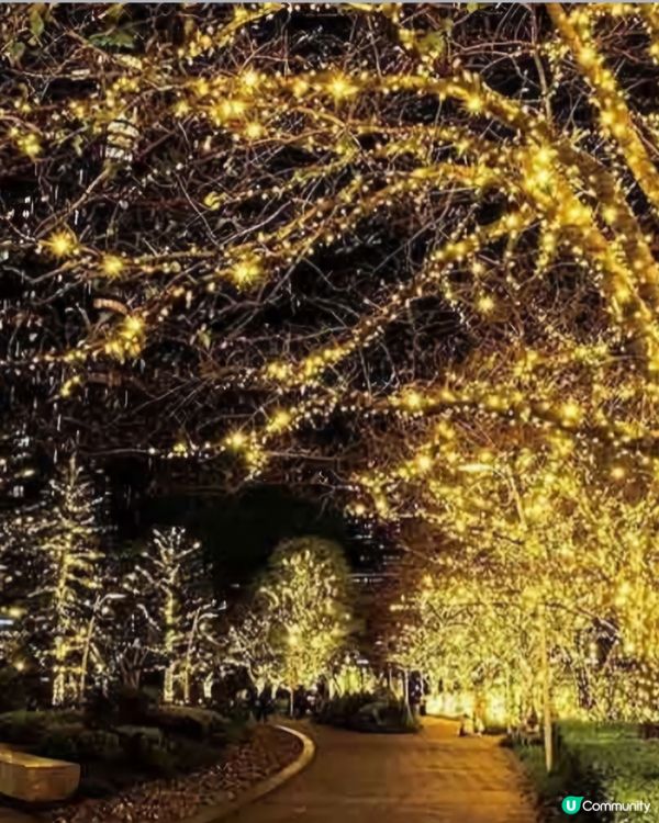 六本木🤩超美聖誕節