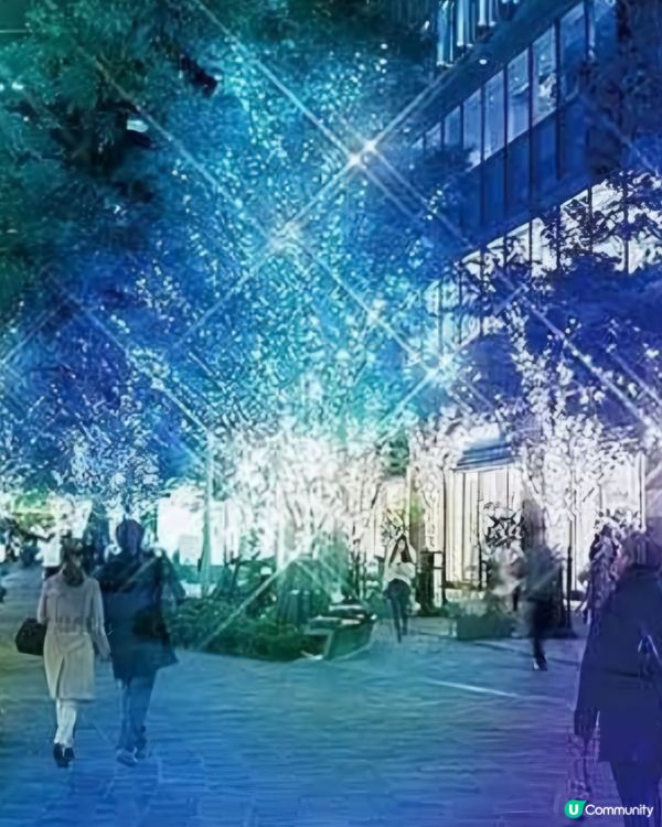 六本木🤩超美聖誕節