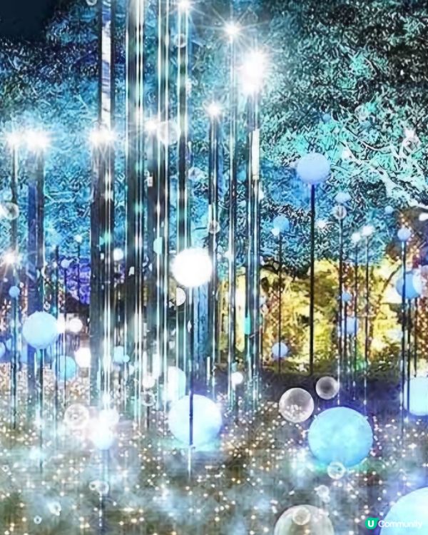 六本木🤩超美聖誕節