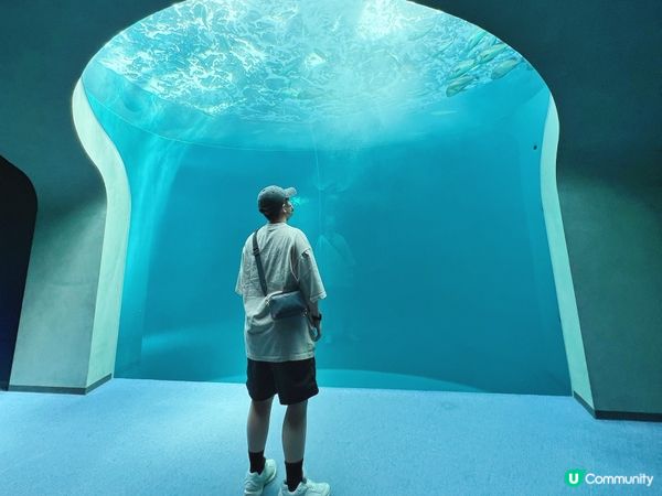 環繞四國7日自駕遊之旅🇯🇵