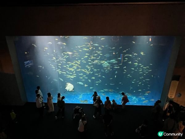 環繞四國7日自駕遊之旅🇯🇵