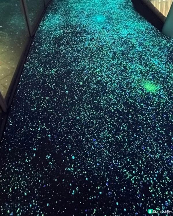 360度露天觀看大阪景色，有營光星空步道，適合情侣前往