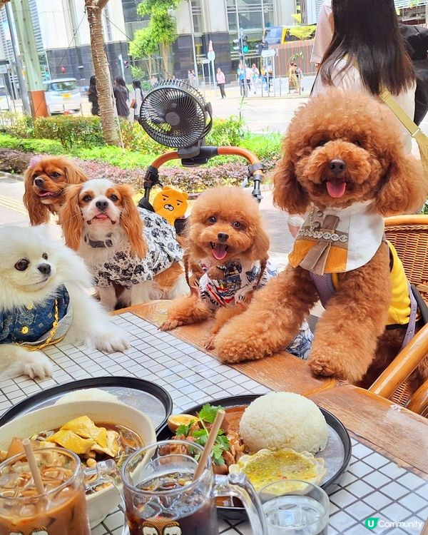 北角匯泰式非常好食😋