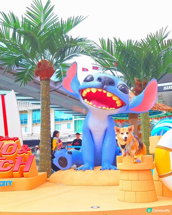 史迪仔攻陷海港城！🤩