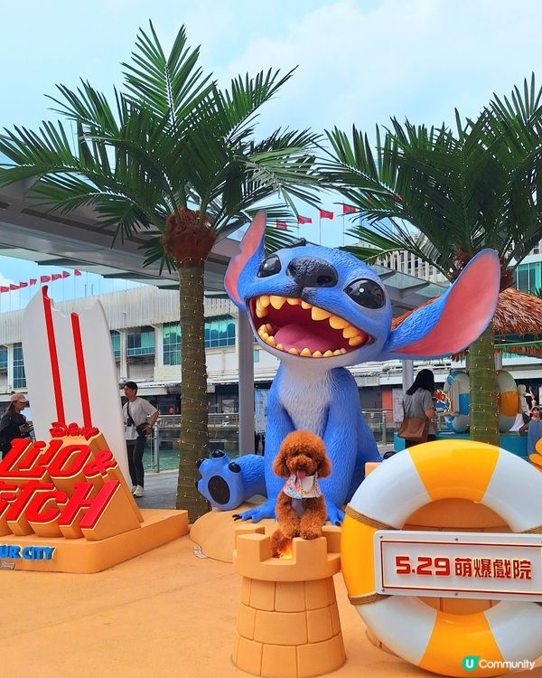 史迪仔攻陷海港城！🤩