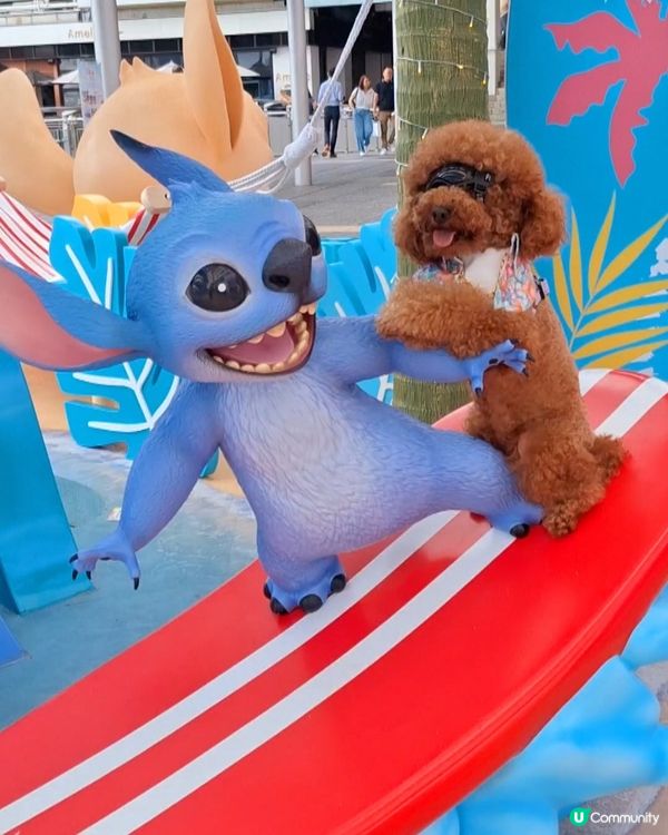 史迪仔攻陷海港城！🤩