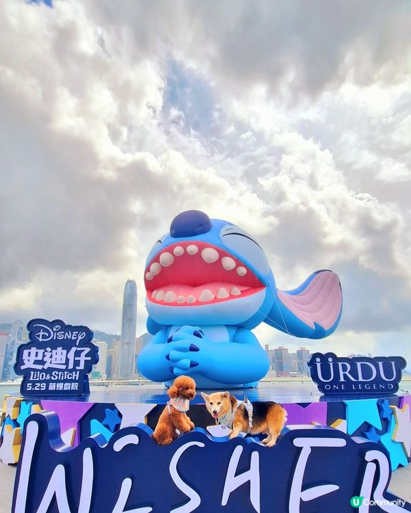 史迪仔攻陷海港城！🤩