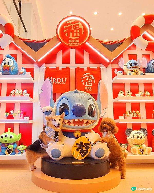 史迪仔攻陷海港城！🤩