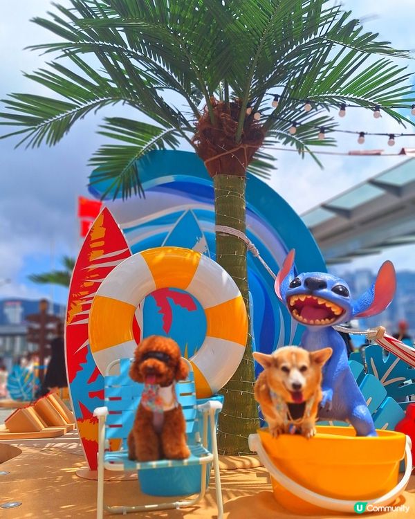 史迪仔攻陷海港城！🤩