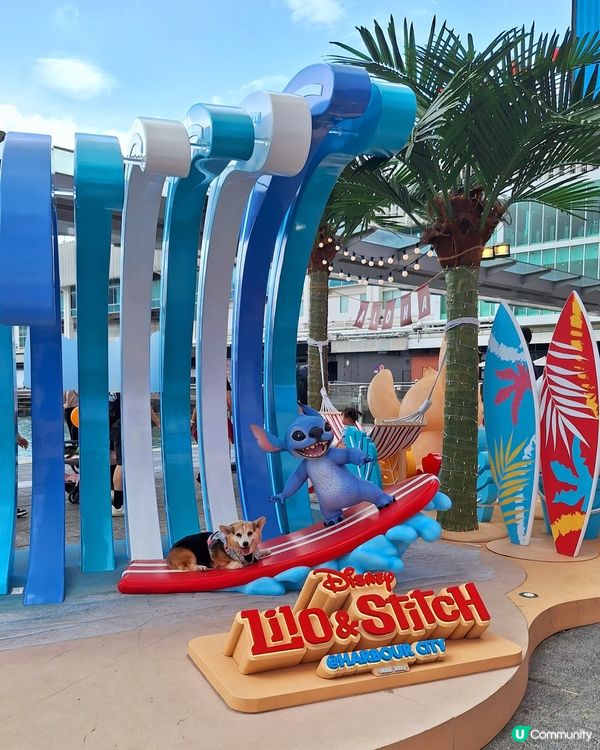 史迪仔攻陷海港城！🤩