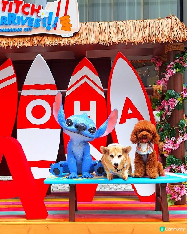 史迪仔攻陷海港城！🤩