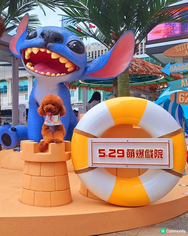 史迪仔攻陷海港城！🤩